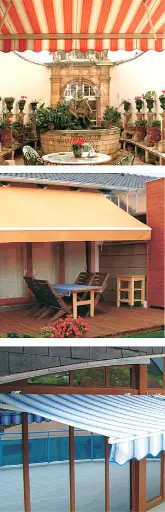 Tokozott napellenző, Yorika, féltokozott 